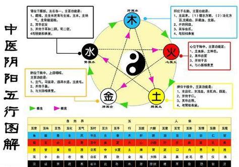 金生水 水生木 辦公室坐椅